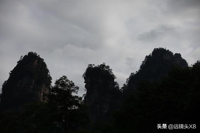 张家界国家森林公园的自然诗篇