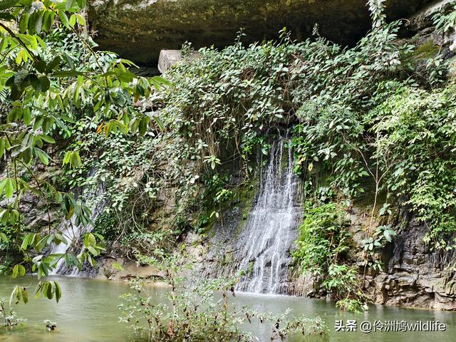 马来西亚(30)砂拉越州④姆鲁山徒步线路