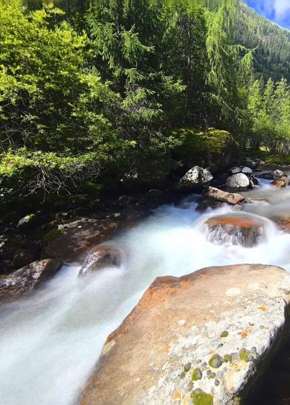 夏末初秋｜达古之绿是四季写给山河的散文诗