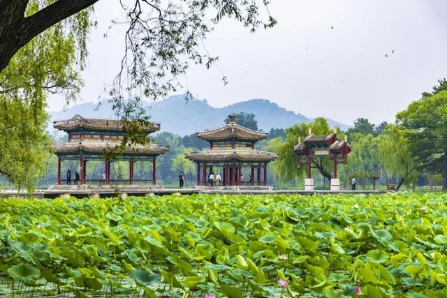 开高峰线动车组列车！近期，这些方向客流明显增加！