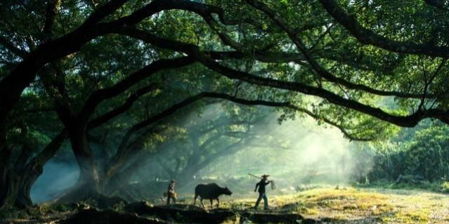 性秘密：大部分女人最想和男人保持长期联系，最终的目的是这二点