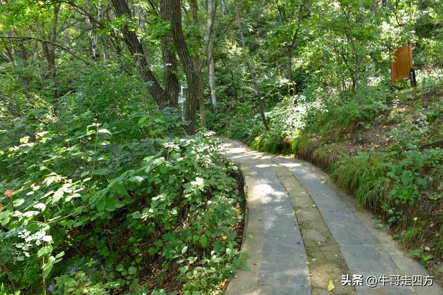 河北百草畔（中）：览尽三山舒望眼，行穿百草浣尘襟