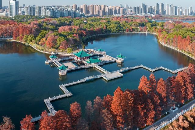 湖北小众秋色段位榜：这6条宝藏路线，让你独占整个秋天！