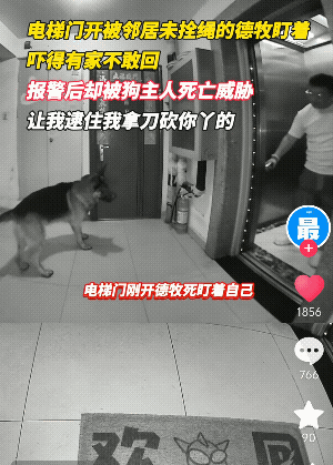 北京男子回家遇德牧拦路，报警反遭威胁，养狗大爷：拿刀砍你丫的