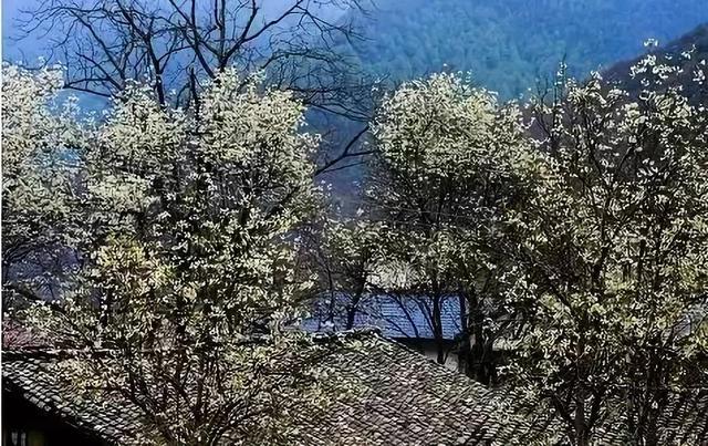 四川省越西县历史沿革及行政区划