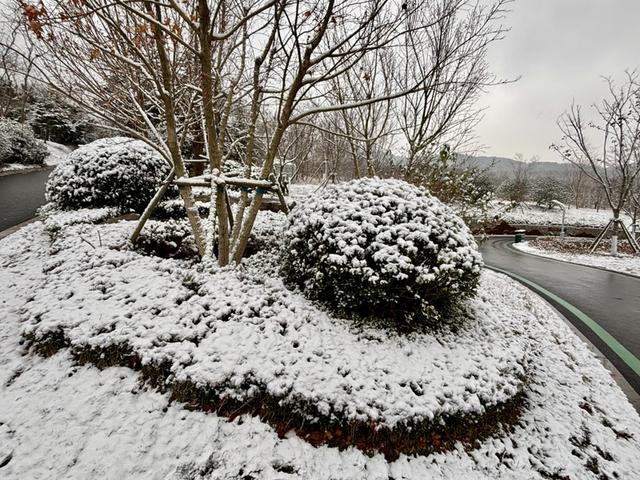 瑞雪飘然而至中国海滨城市青岛