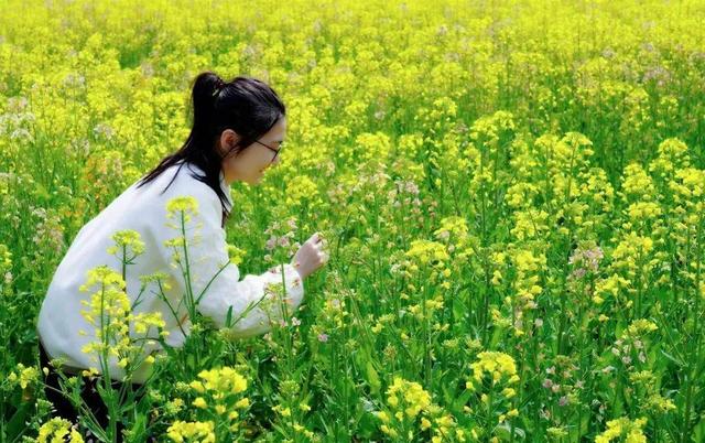 七彩油菜花开时，网红游客竞相来