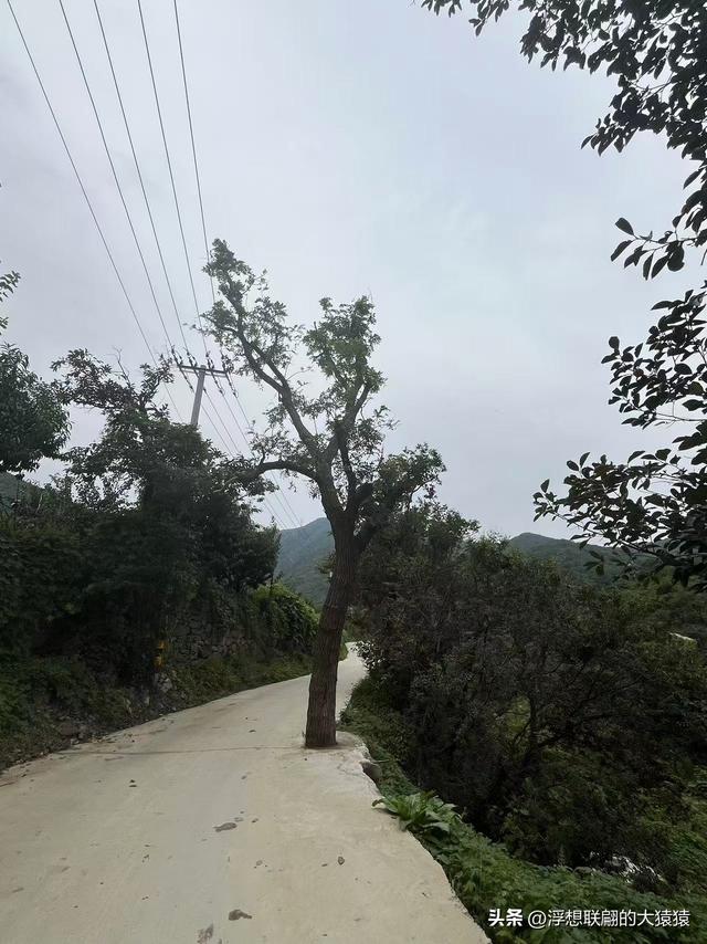 在邹平上回村可以攀爬摩诃峰，但俺没爬，俺买了农家菜打了山泉水