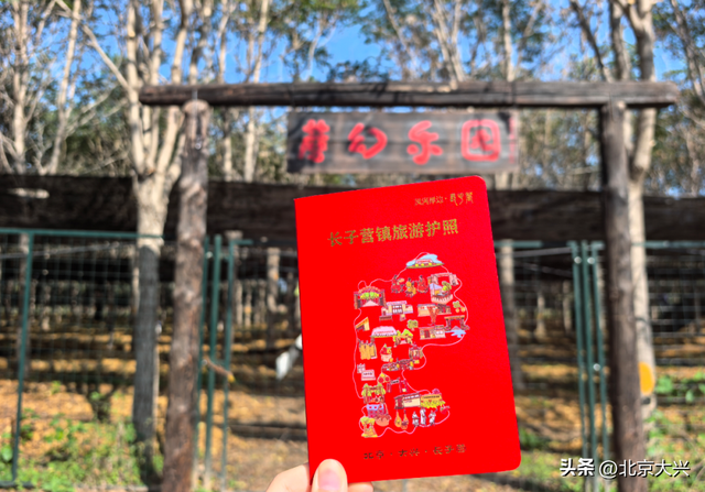 实现赤松茸自由！大兴这个遛娃圣地藏不住了