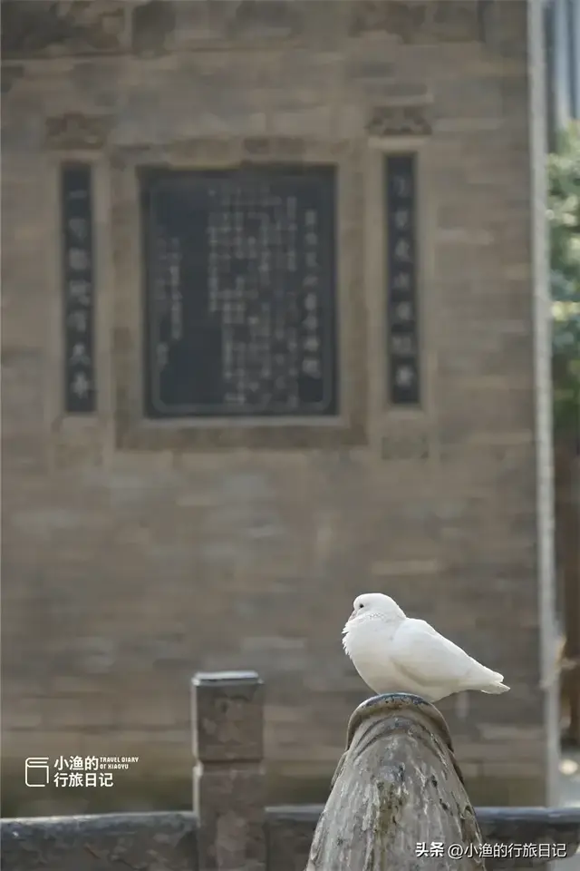 西安冬日最有韵味的美景地：一入其中，便是长安