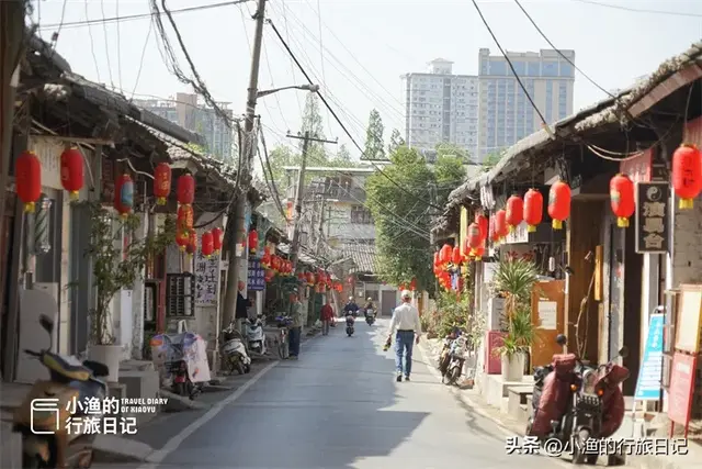 陕西这片“海”超浪漫！万千海鸥在此越冬，西安1小时直达！