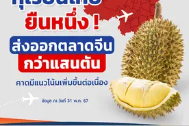 稳居第一！泰国对华出口榴莲12万吨！创收7亿美元！图片