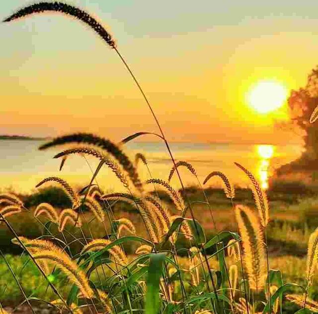 我是赣州人带着一家人来上海玩了六天，今天这三个疑问必须说下！