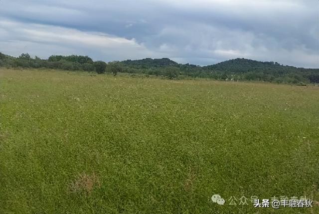草原深处的太阳湖｜李 芳