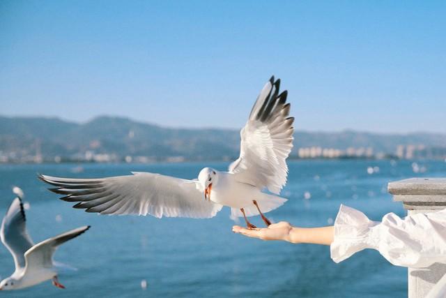 国内12月份最适合去的10个地方