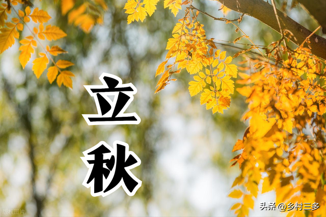 “立秋逢单胜似冬，立秋逢双秋老虎”，2025年立秋逢单还是逢双？