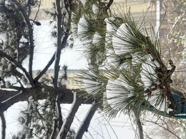 雪覆长河：城市凝固的诗意