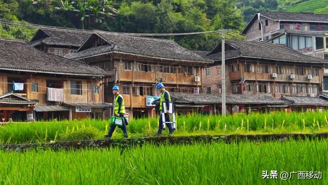 龙胜梯田夏末限定，绿色稻浪等你来拍