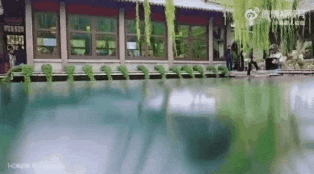 被济南泉水下的世界惊艳到了！