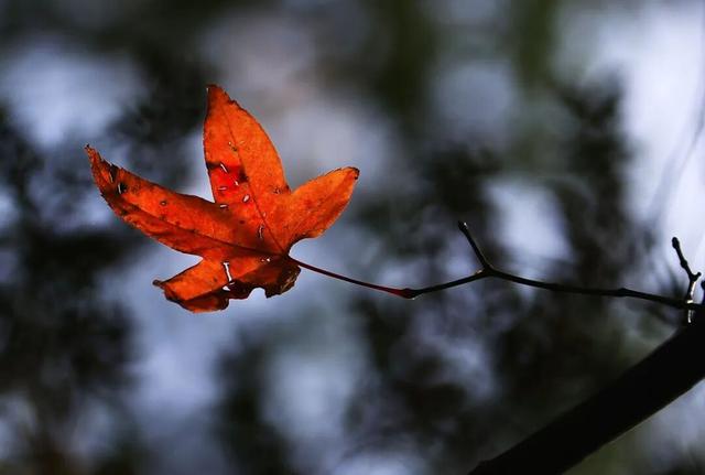 天池「初妆」，素颜静好