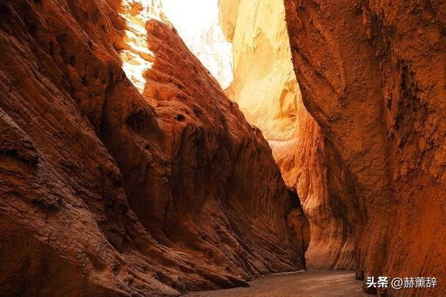 月薪8000留不住人，牧民靠万亩草场维生，新疆的上限下限超乎想象