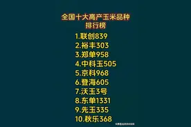 全国十大高产玉米品种排行榜图片