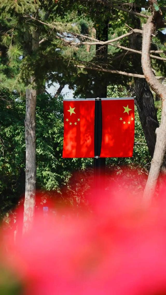“三园”嗨玩，“四街”漫游！把长春秋天的仪式感拉满了~