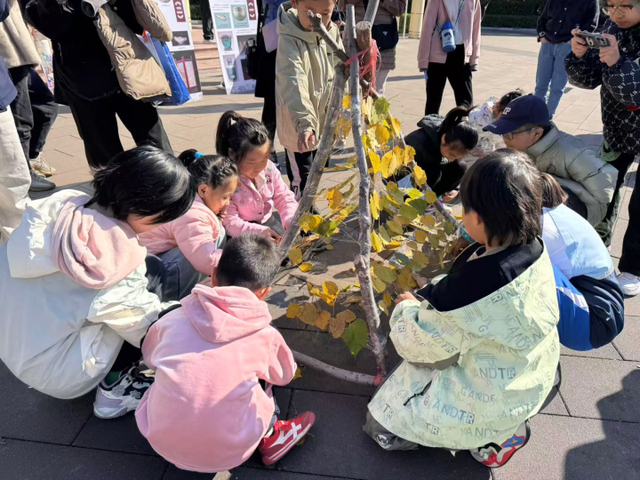 当文化遇见秋色：图博联动公园开展惠民活动
