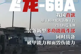 中国BRE-10型火箭弹，射程超过500公里？网友：还能打巡飞弹！图片