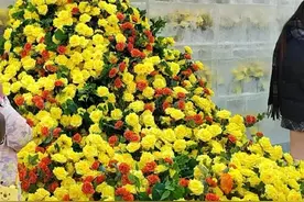 哈尔滨必打卡商场大盘点！这十家，本地人都爱到不行！图片