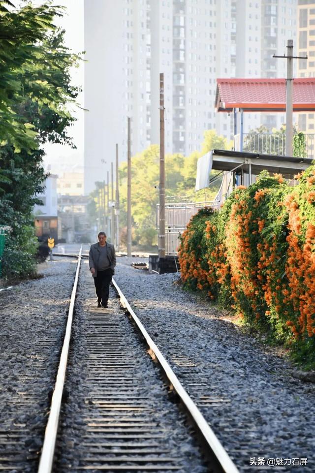 超治愈~石屏这片炮仗花海藏不住了🧡