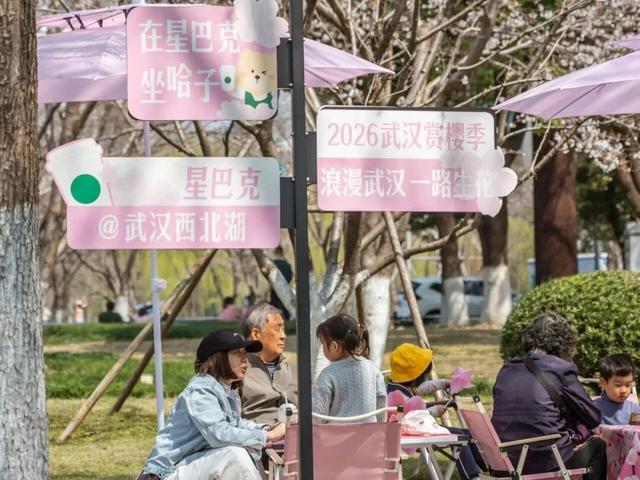 来汉口 逛江汉 | “樱”有尽有，档期已满！