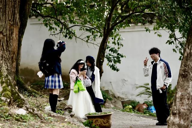 春景上新！市民游客竞相打卡阳明祠