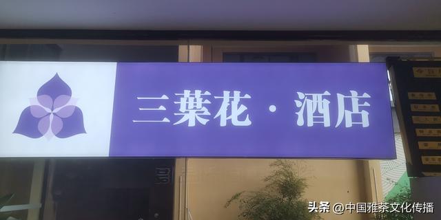 礼赞三葉花•酒店