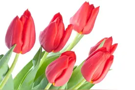 人算的再精，也不如天算的准！11句人算不如天算，一切皆有因果！图片