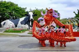 出发！赴一场光明新春限定之旅！图片
