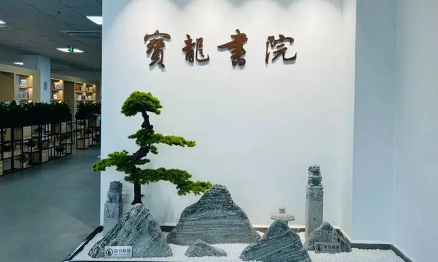 今天，深圳正式迎来......