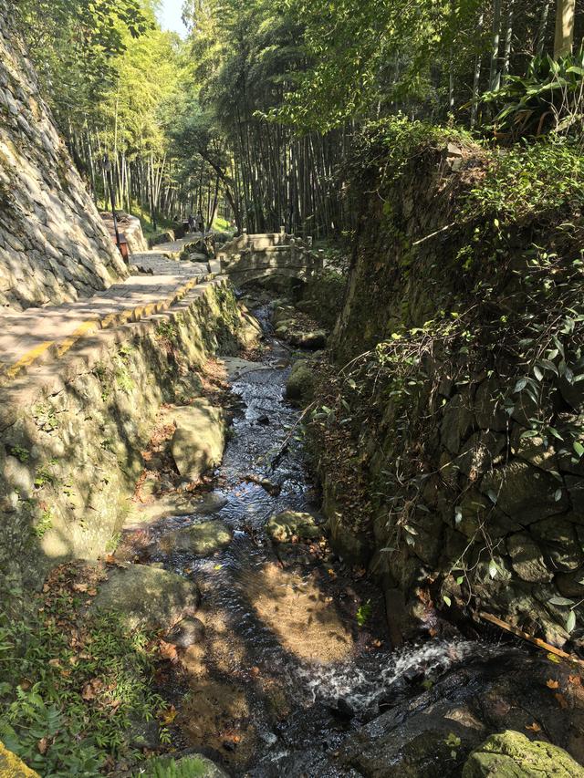 浙江湖州市德清县莫干山国家级风景名胜区游记（上）