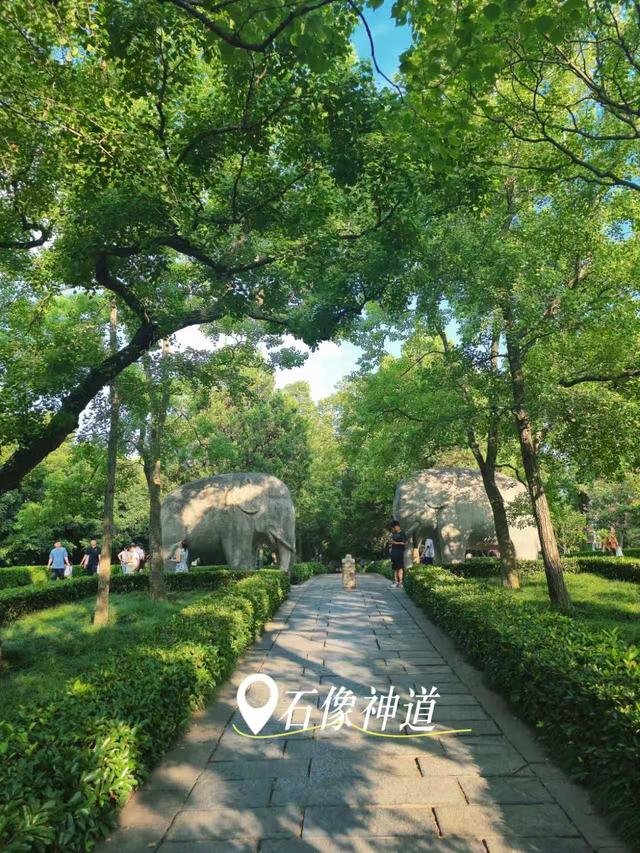 南京紫金山日出和免费游明孝陵