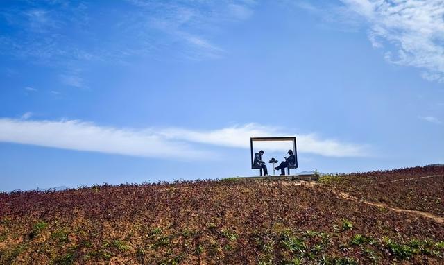 西安:秦岭脚下荞麦香 峪口村畔好风光