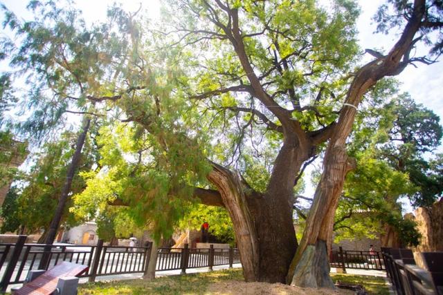 白水“十四五”文旅答卷：年均接待游客超150万 旅游收入超5.1亿元