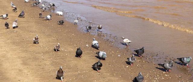 冬春游兰州全攻略！10条特色主题线路推荐！