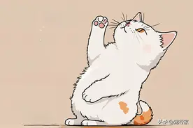 2分钟，带你看完猫的一生，短暂的令人心疼图片