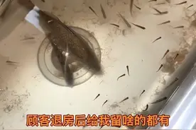 顾客退房后留下的东西有多离谱！哈哈哈评论区笑不活了图片