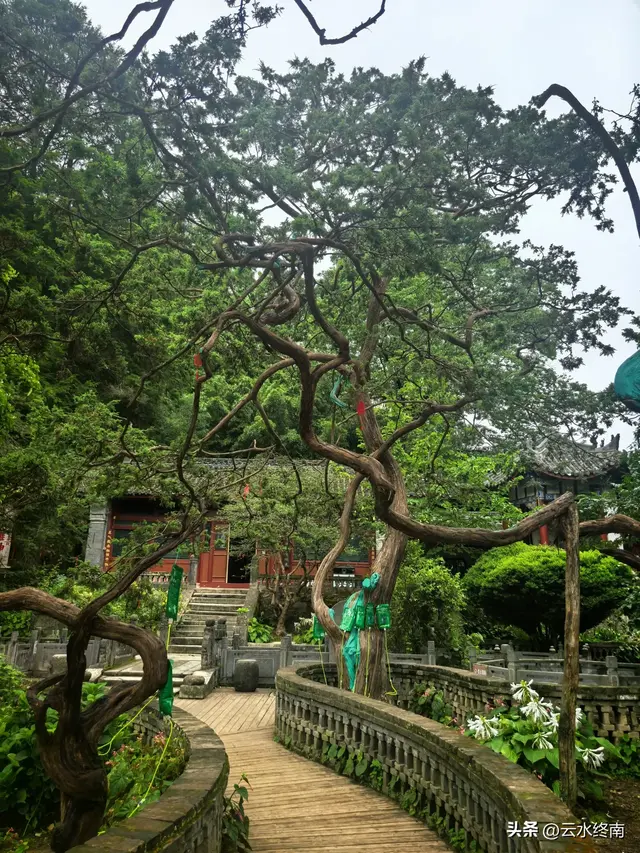 蜀道上的大人物，没有一个不来这里拜谒，但我是个看热闹打酱油的