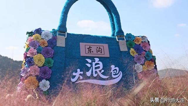 别错过！东沟“遇稻粉黛”景区新增打卡点