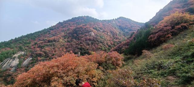 骊山红叶似火 车辆行人如织