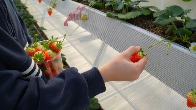 热气腾腾！这是冬日广饶的正确打开方式！