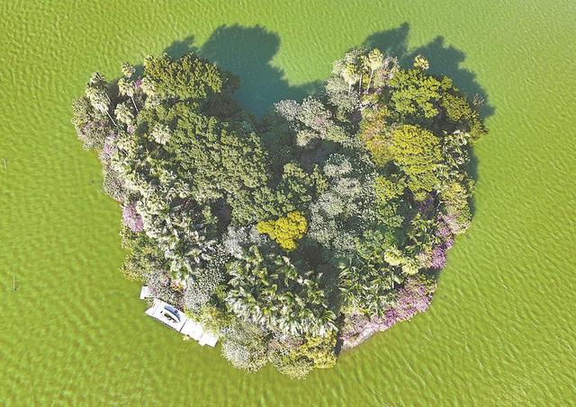 在泉州 连树木都这么有爱