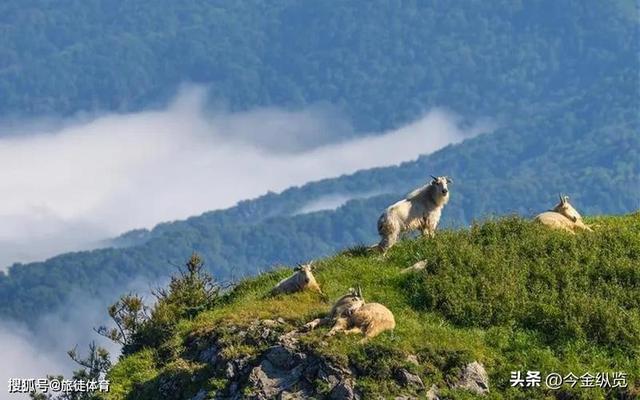 数十条生命警示，禁令成摆设，你任性探险的代价，为何让全民买单